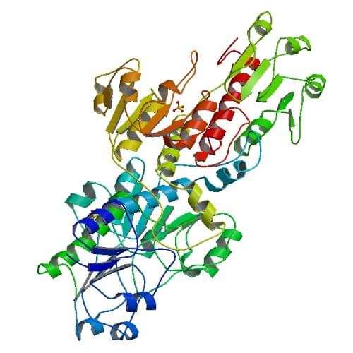 Enzyme Activity Measurement of Glycerate Dehydrogenase Using Spectrophotometric Assays