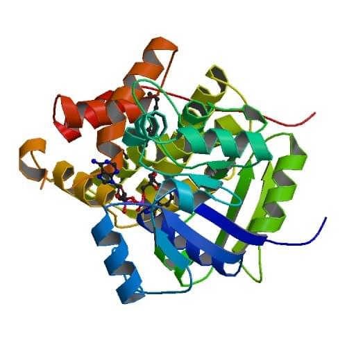 Enzyme Activity Measurement of Glycerol-3-Phosphate Dehydrogenase (NAD+) Using Spectrophotometric Assays