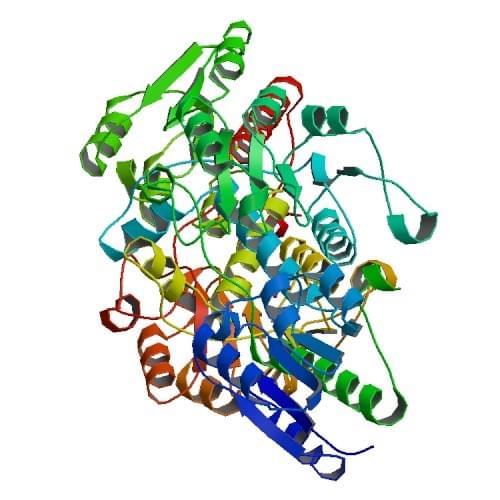 Enzyme Activity Measurement of Glyoxylate Reductase Using Spectrophotometric Assays