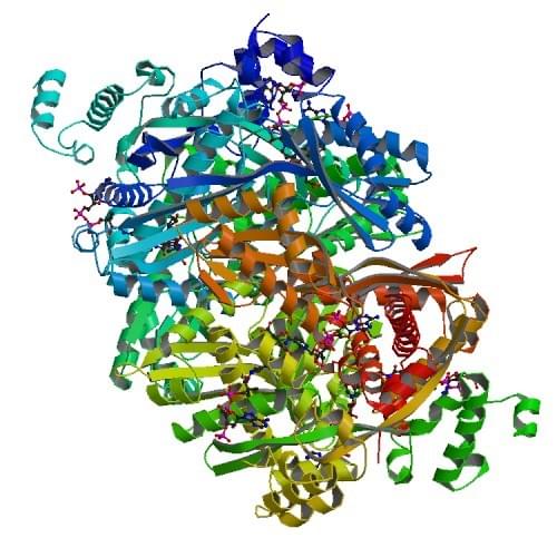 Enzyme Activity Measurement of Hydroxymethylglutaryl-CoA Reductase (NADPH) Using Spectrophotometric Assays