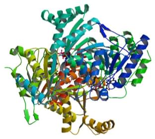 Enzyme Activity Measurement of Isocitrate Dehydrogenase (NAD+) Using Spectrophotometric Assays