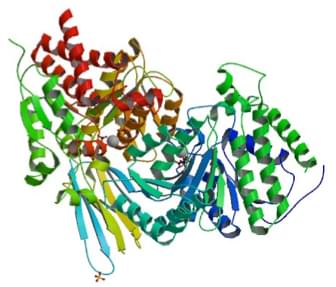 Enzyme Activity Measurement of Isocitrate Dehydrogenase (NADP+) Using Spectrophotometric Assays