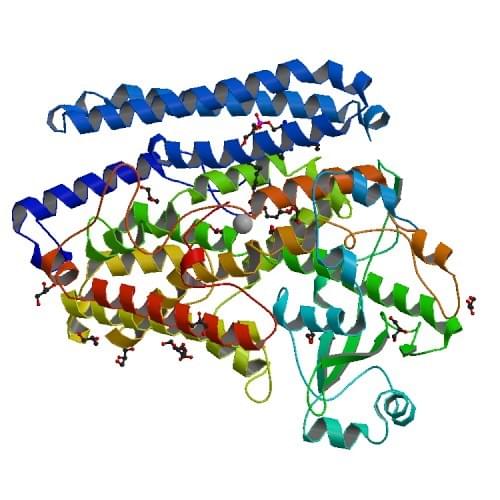 The crystal structure of a phospholipid-lipoxygenase complex from Pseudomonas aeruginosa.