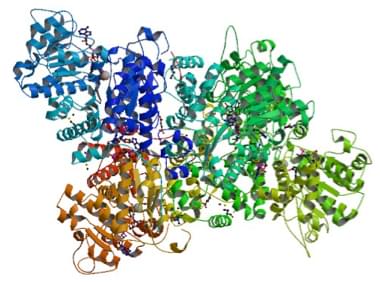 Enzyme Activity Measurement of Malate Dehydrogenase (Decarboxylating) Using Spectrophotometric Assays