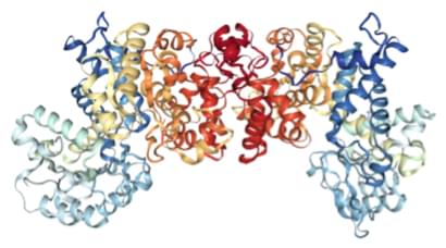 Enzyme Activity Measurement of Malate Dehydrogenase (Oxaloacetate-Decarboxylating) (NADP+) Using Spectrophotometric Assays