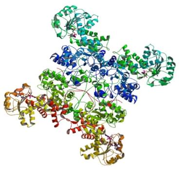 Enzyme Activity Measurement of Malate Dehydrogenase (Oxaloacetate-Decarboxylating) Using Spectrophotometric Assays