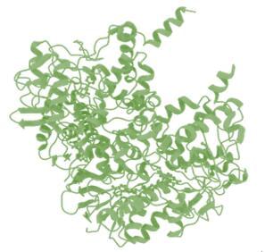 The crystal structure of human monoamine oxidase B (MAO-B) in complex with rosiglitazone