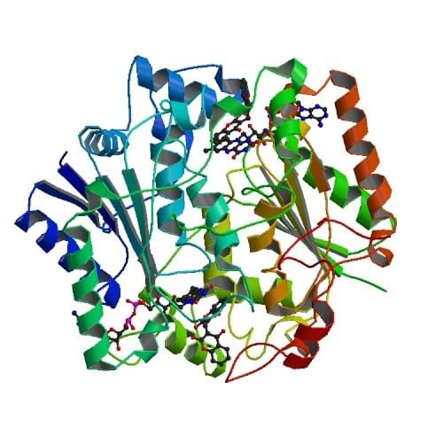 The crystal structure of NQO1 with the inhibitor dicoumarol