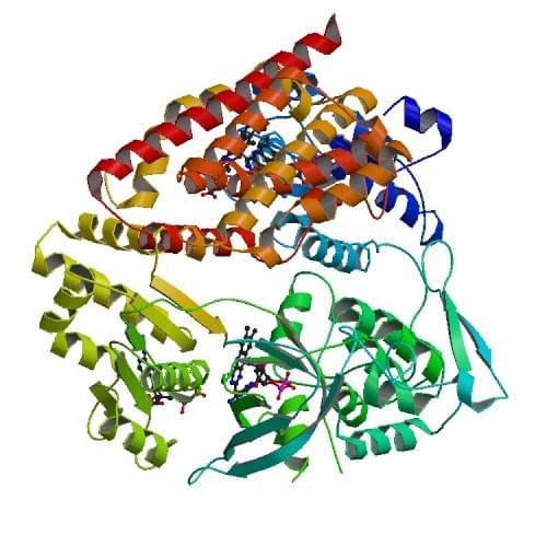 The complex structure of an open form of NADPH-hemoprotein reductase and heme oxygenase-1