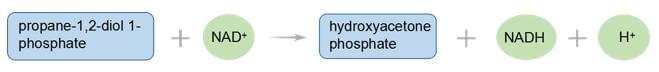 Enzyme Activity Measurement of Propanediol-Phosphate Dehydrogenase Using Spectrophotometric Assays