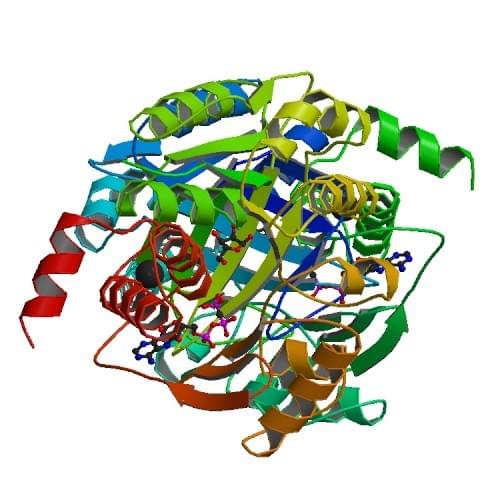 Figure: The crystal structure of ribonknise.