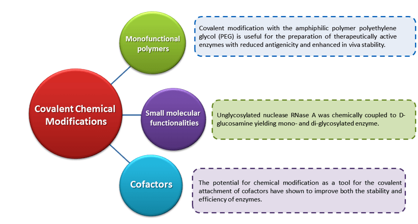 Modifications Services Selection Guide by Creative Enzymes