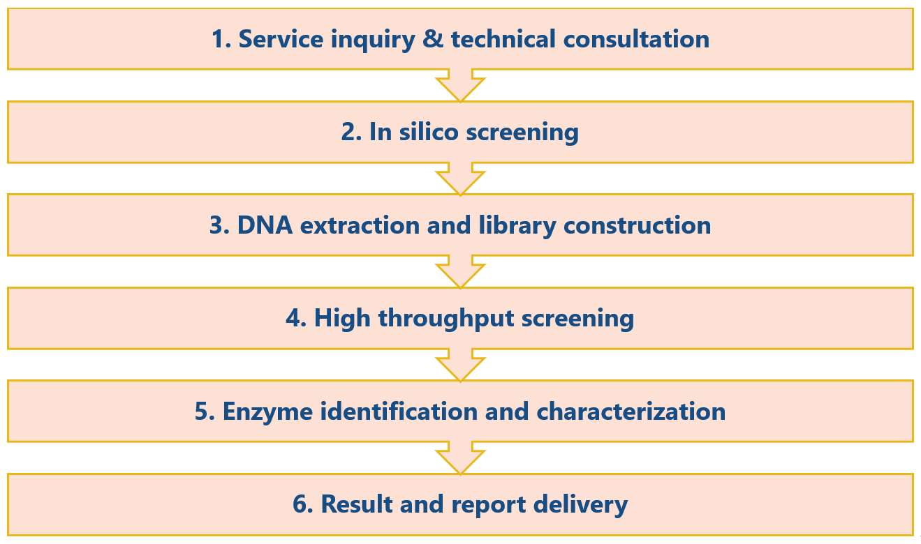 Enzyme discovery workflow