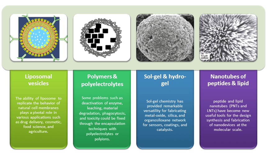 Different Enzyme Encapsulation Services by Creative Enzymes