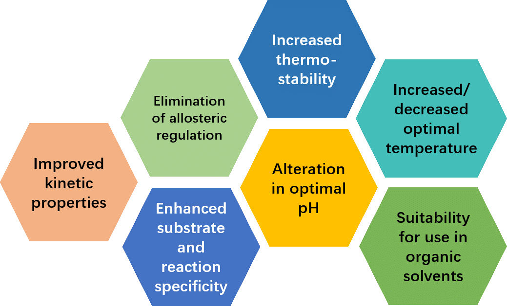 Enzyme Engineering and Modification-(2)