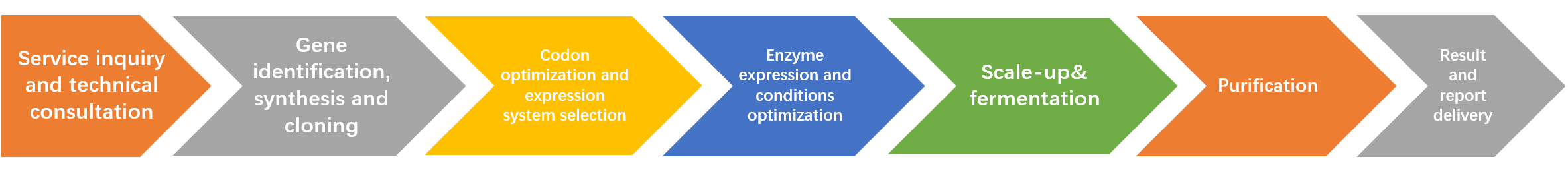 Enzymes expression service workflow 