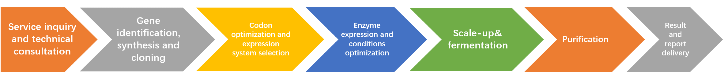 Enzymes expression service workflow