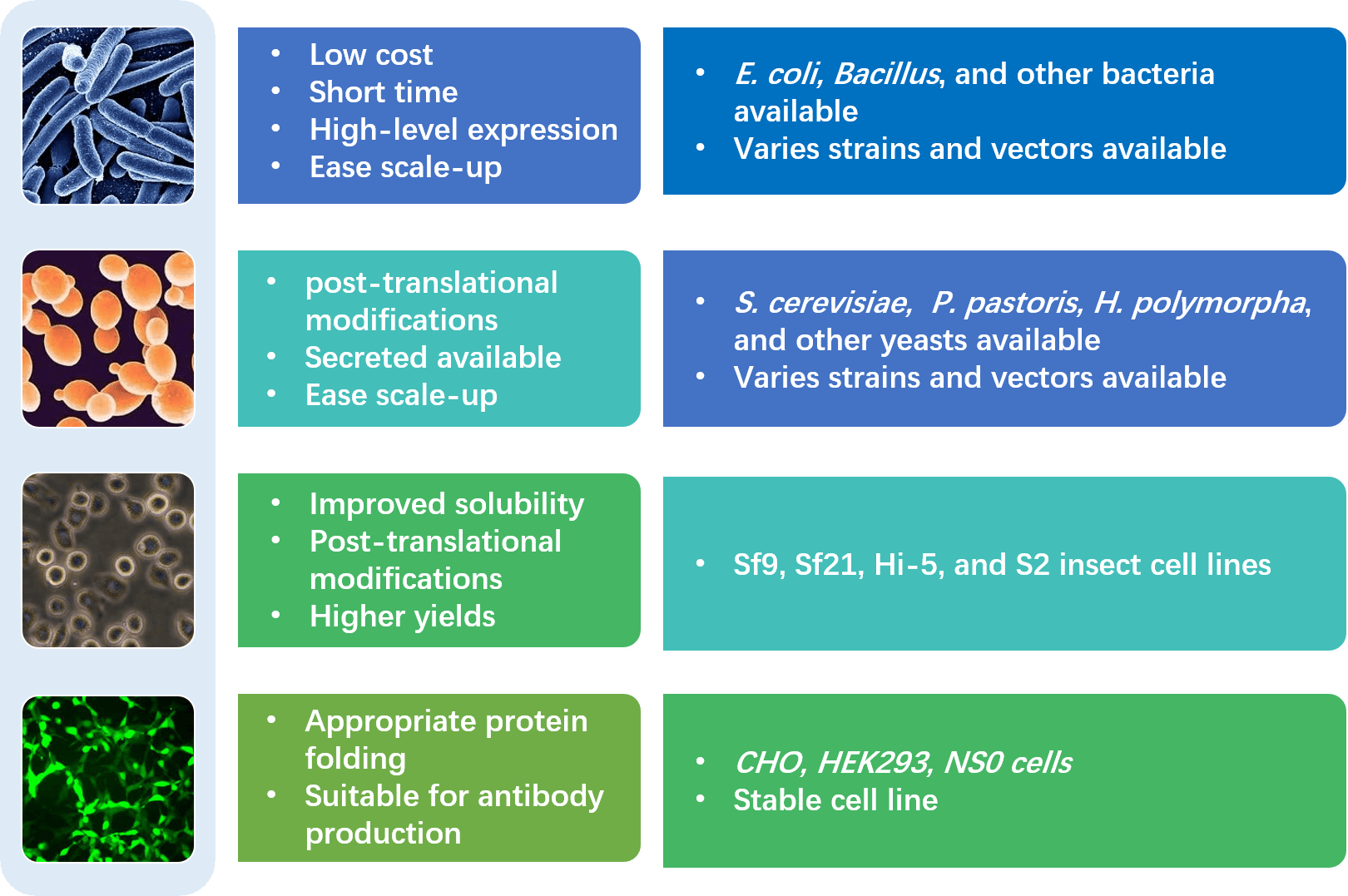 Enzyme Expression systems in Creative Enzymes