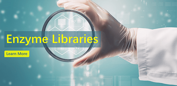 Enzyme Libraries