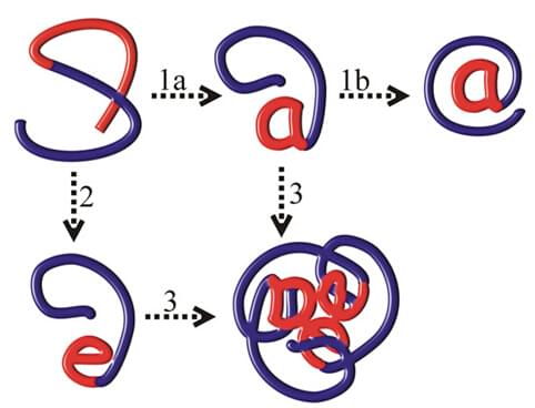 Enzyme Recovery and Refolding