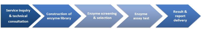 Enzyme Screening Services Workflow