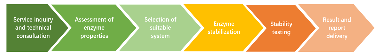 Enzyme stabilization workflow