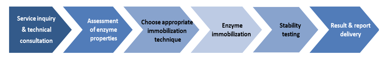 Enzyme Immobilization Services Workflow by Creative Enzymes