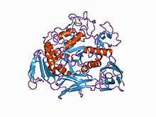 Enzyme for flour