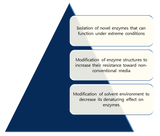 Strategies for stabilization of enzymes by Creative Enzymes.