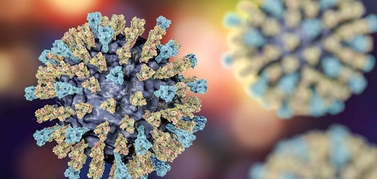 Enzymes for Coronavirus Nucleic Acid Test