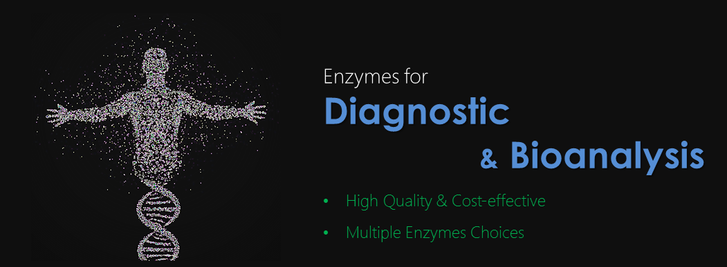 Enzymes for Diagnostic and Bioanalysis by Creative Enzymes