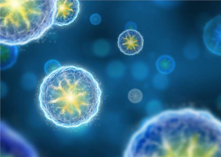 Enzymes in Biotechnology