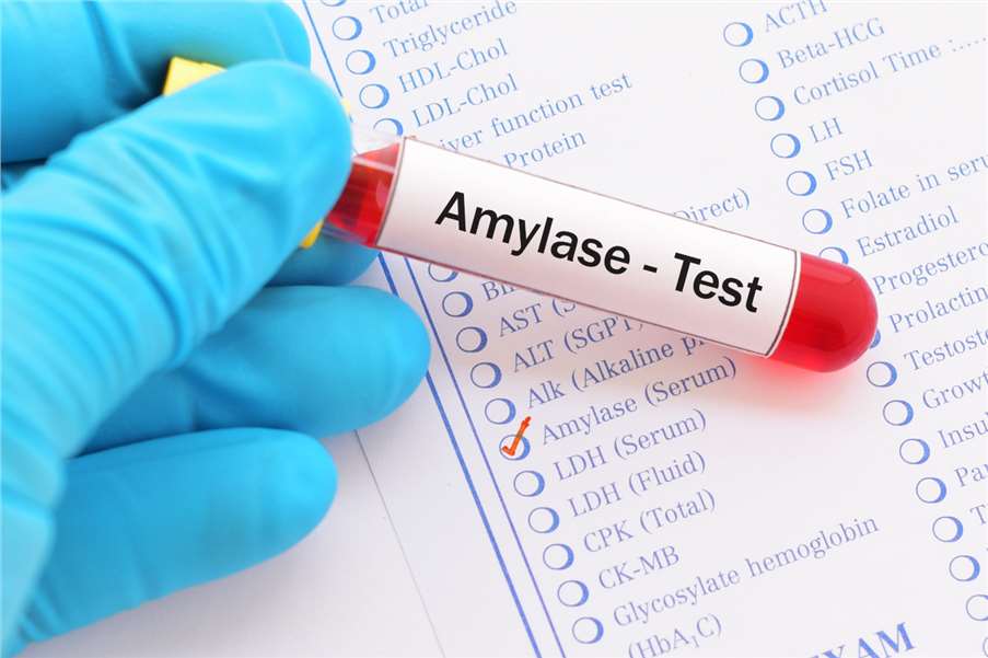 Enzymes in Pharmaceutical Industry