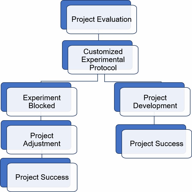 Experiment Consulting and Design Service