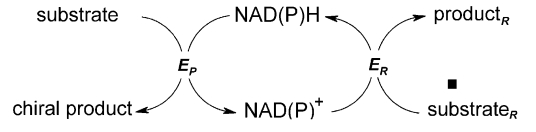 General scheme of NAD(P)H regeneration for cofactor coupled enzymatic synthesis of optically active compounds