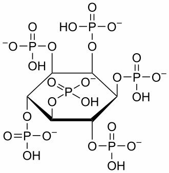 Phytase