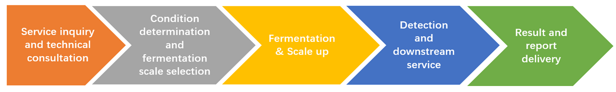 Fermentation & Scaling Up