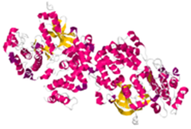 G protein-coupled receptor kinase (GRKs)