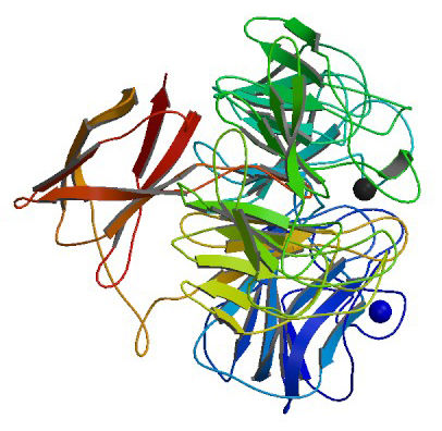 Galactose Oxidase