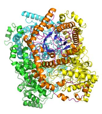 Glucose Isomerase