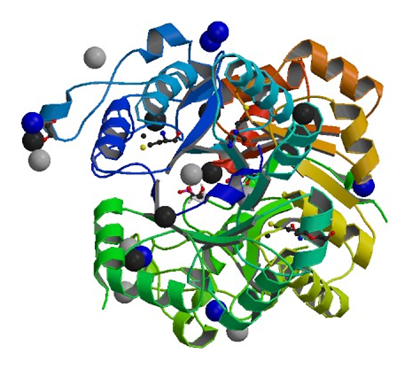 Enzyme Activity Measurement for Glycerophosphocholine Phosphodiesterase