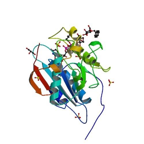 Enzyme Activity Measurement for Beta-N-Acetylglucosaminyl-Glycopeptide Beta-1,4-Galactosyltransferase Using Spectrophotometric Assays