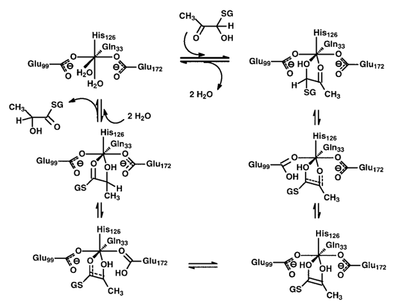 Catalytic mechanism of human glyoxalase I for the isomerization of the R-hemithioacetal