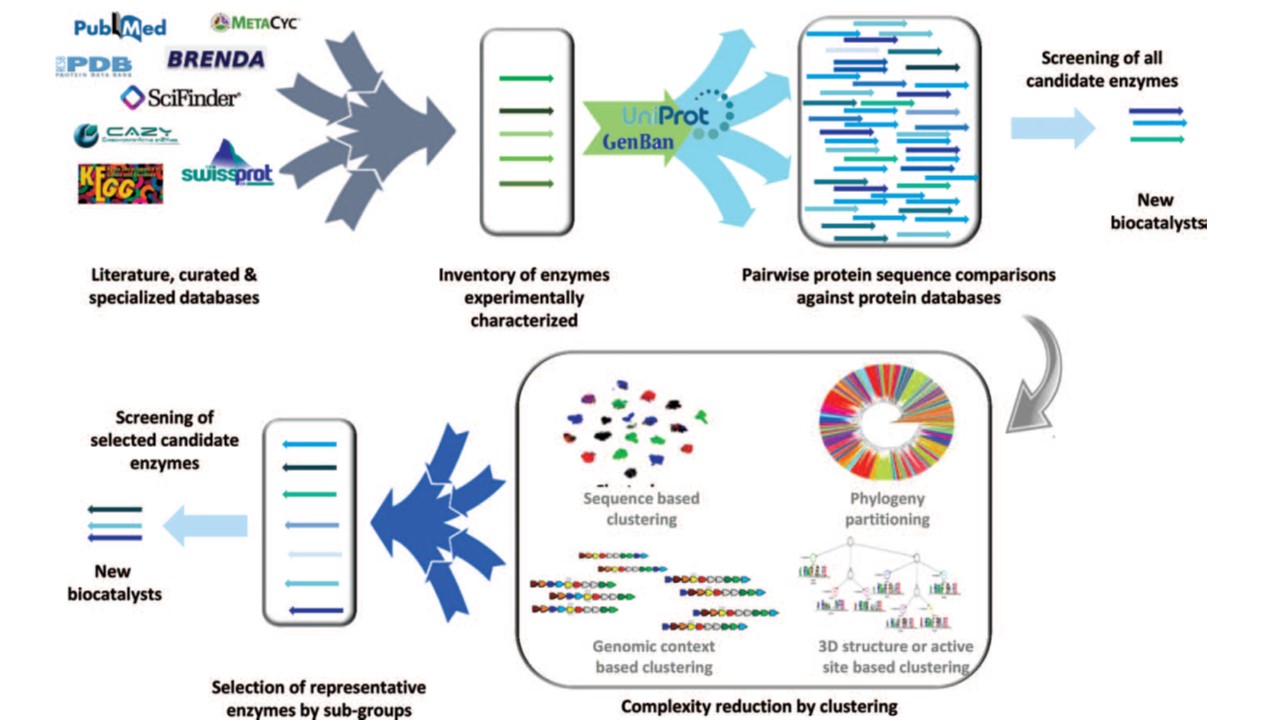 Pairwise sequence alignment-based strategy for new enzyme discovery