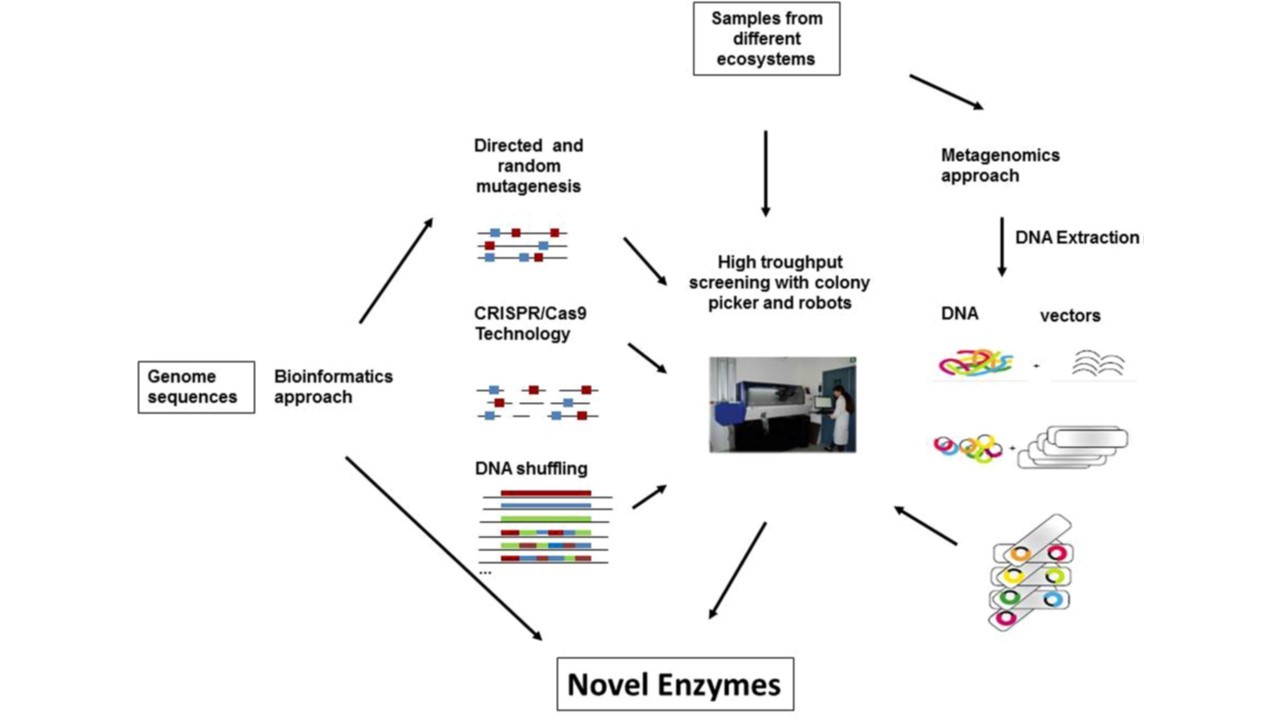 Enzyme discovery with bioinformatic tools and HT techniques