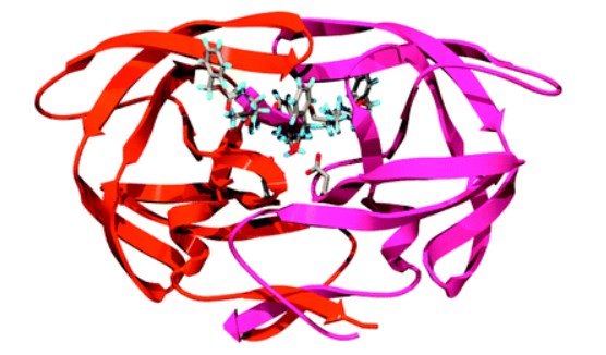 Structure of HIV PR complexed with TL-3  (PDB: 3TLH)