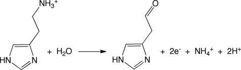 Scheme  1