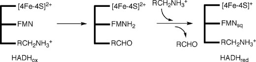 Scheme  2