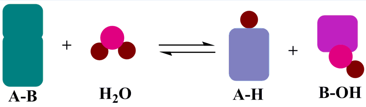 Hydrolase Introduction