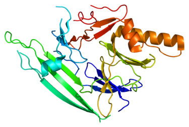Protein structure of IRE.